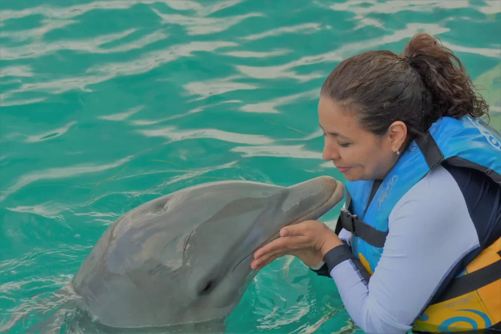 Dolphin Encounter